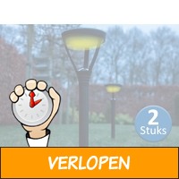 2 x LED Solar buitenlampen met grondpin