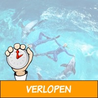 2 dagen Harderwijk incl. Dolfinarium