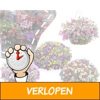 set van 4 hanging baskets met 20 l potgrond en planten