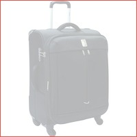 Delsey Flight 4 Wheel Expandable trolley