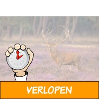 3 dagen in hotel midden op de Veluwe