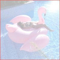 Opblaasbare flamingo