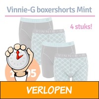 4-pack Vinnie-G Mint Print boxershorts