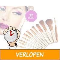 12-delige make-up kwastenset