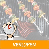 Hittebestendige BBQ handschoenen