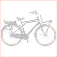 Cross E-Cargo SA 5 elektrische fiets