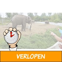 Familiedierentuin Dierenrijk