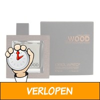 Dsquared2 He Wood Rocky Mountain Wood edt 100ml