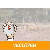 Midweek in 4*-hotel op de Veluwe