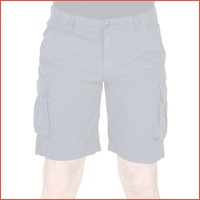 U.S. Polo shorts