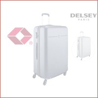 Delsey Envol trolley