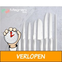 9-delige Magnani RVS messenset