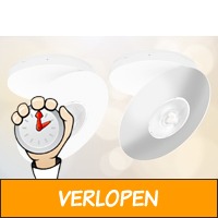 Draaibare LED-spot in 2 kleuren