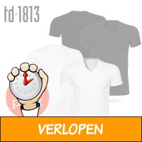 2 x TD1813 basic heren T-shirts