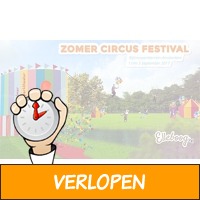 Zomercircus festival