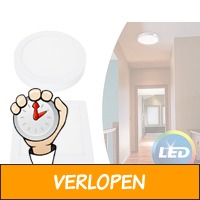 Energiezuinige LED-plafondlamp