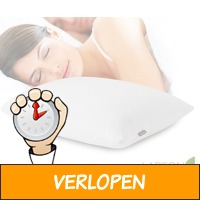 Larson comfort memory foam hoofdkussen