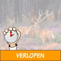 4 dagen 4* hotel op de Veluwe