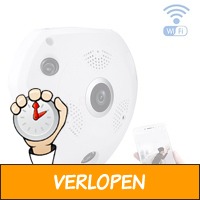 360 graden plafond beveiligingscamera