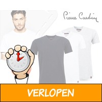 Vier pierre cardin shirts