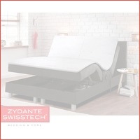 Zydante boxspring