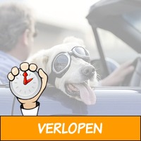 Zonnebril voor de hond