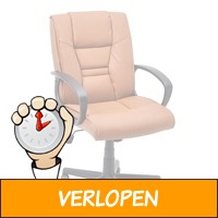 Comfort Bureaustoel met Armsteunen