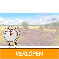 3 dagen midden op de Veluwe