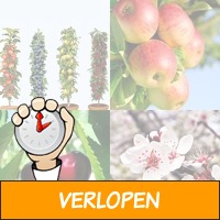 4 winterharde fruitbomen