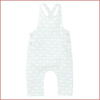 Newborn jumpsuit