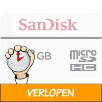 SanDisk High Endurance microSDHC 32GB