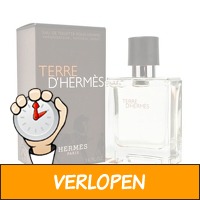 Hermes Terre D'Hermes EDT 100 ml