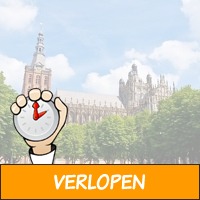 3 dagen 4* Den Bosch