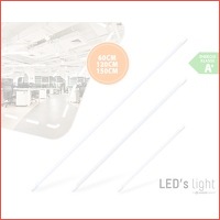 LED's Light T8 LED-buis