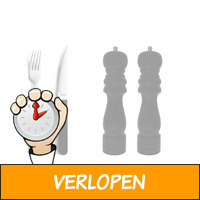 Amefa steakset met peper- en zoutmolen