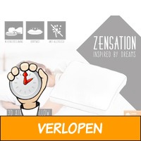 2 x Zensation orthopedisch 3D Air Box kussen