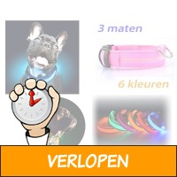 LED halsband voor je hond