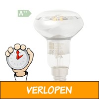 LED Filament Lamp 25W