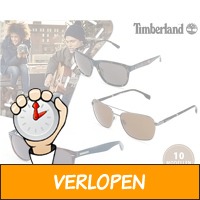 Casual timberland zonnebrillen