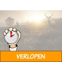 3 dagen midden op de Veluwe