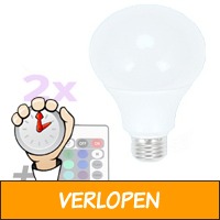 2 x LED-lampen met afstandsbediening