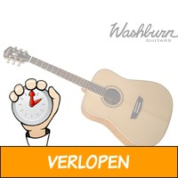 Washburn WD10N complete gitaarset