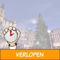 3 dagen Kerstmarkt Brussel