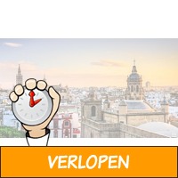 Verken het cultuurrijke Sevilla