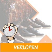 NoGrz B.Fuller herenschoenen