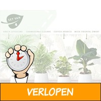 4 exotische groene kamerplanten