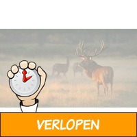 3 dagen midden op de Veluwe