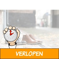 Lederen Travelin herenschoenen