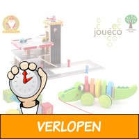 Joueco houten speelgoed sets