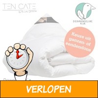 Ten Cate donzen 4-seizoenendekbed